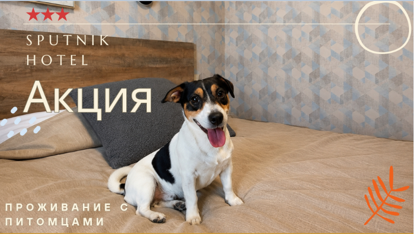 Для питомцев